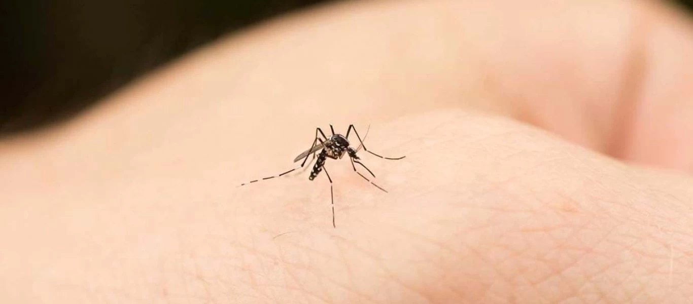 Αλλεργία στο τσίμπημα κουνουπιού: Τα συμπτώματα που δεν πρέπει να αγνοήσετε